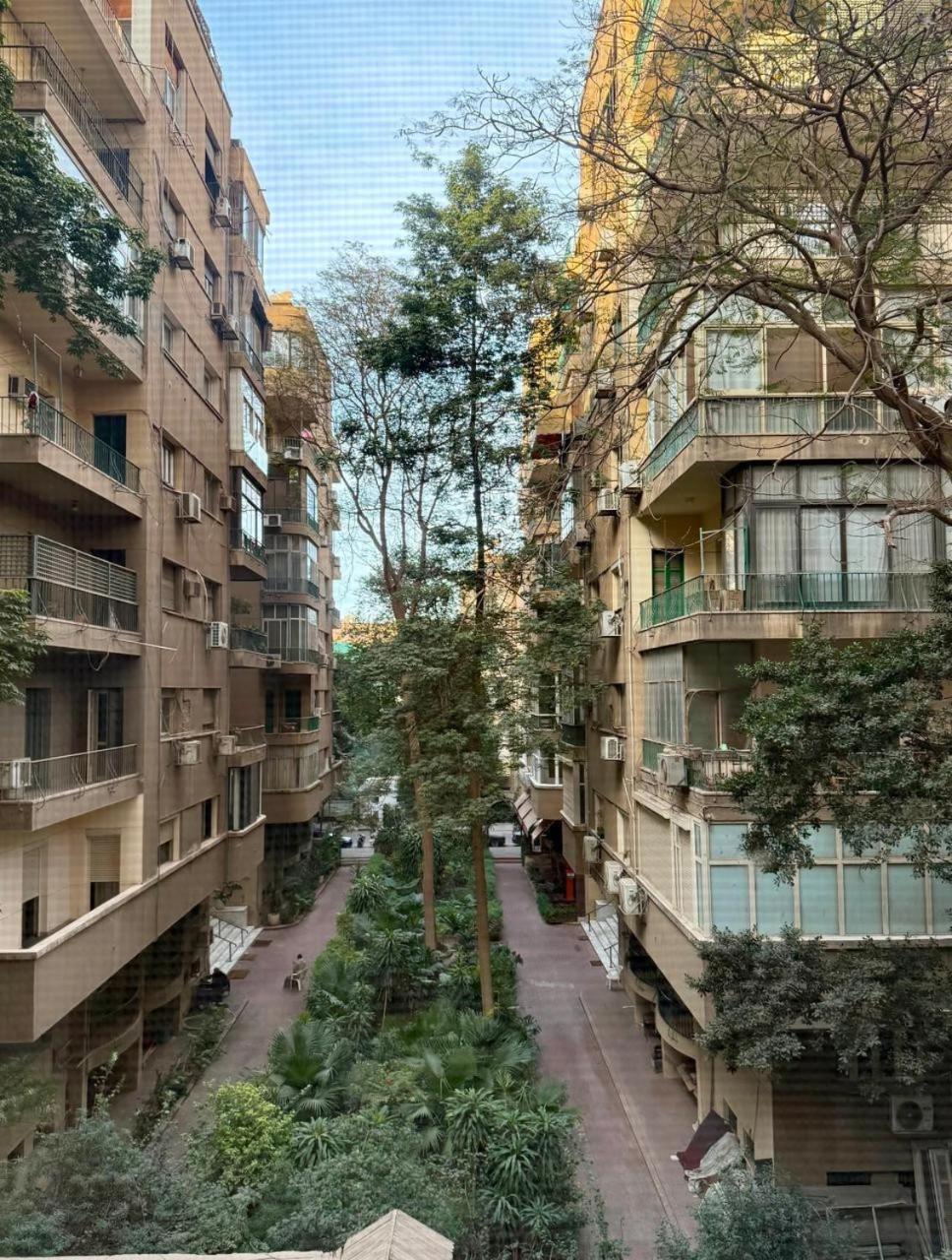 Vibrant Unique - El Zamalek Kairo